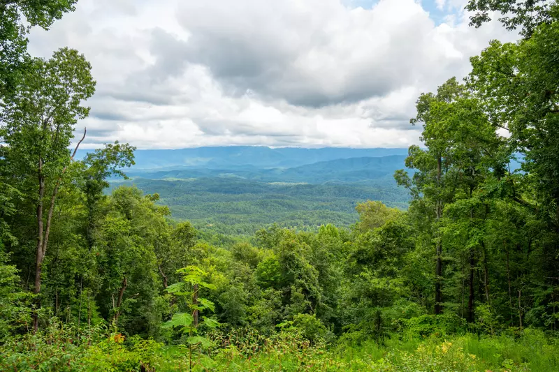 Endless Views