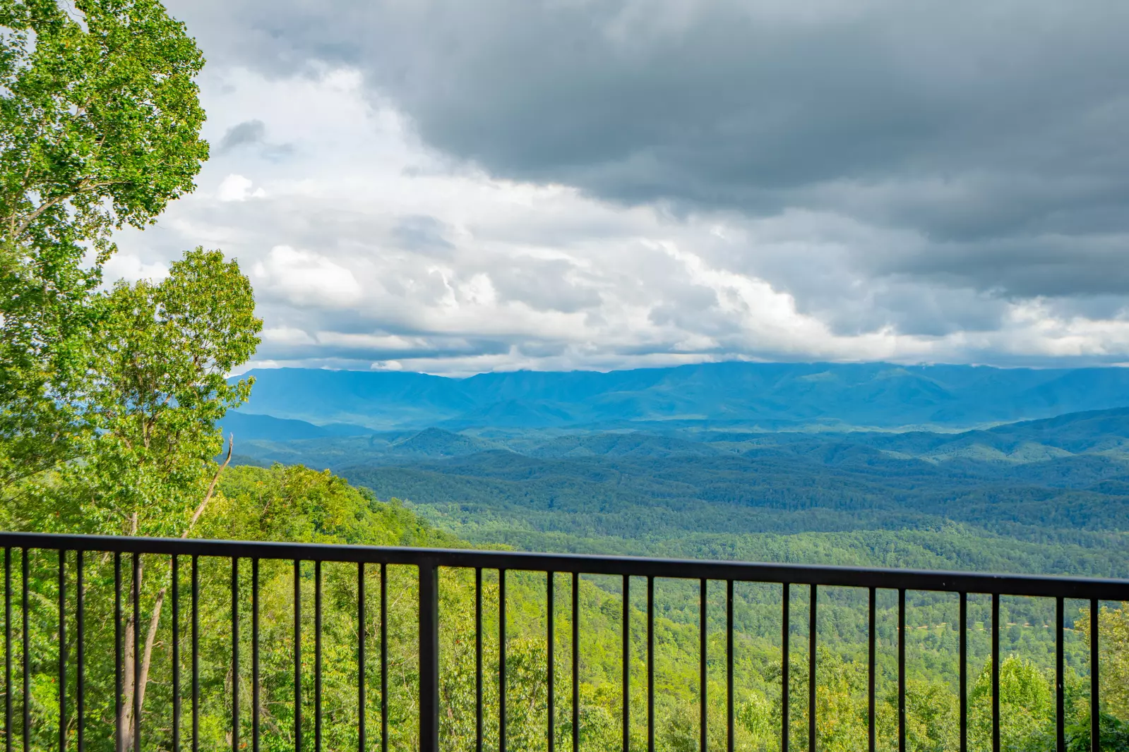 Endless Views