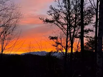 Robbins Roost