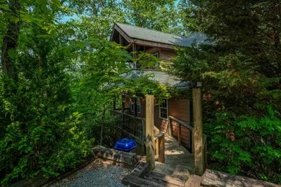 Dream A Little Dream