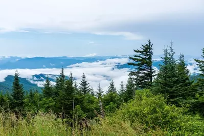 kuwohi has some of the best views in the Smokies