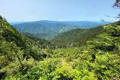 view from mount leconte