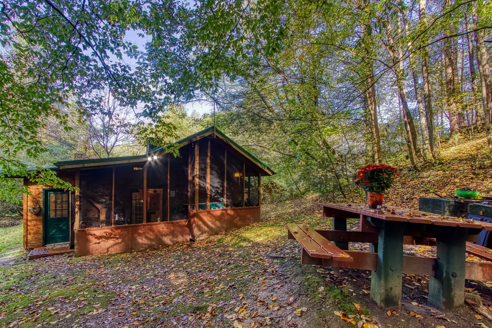 Cozy Creek Cabin