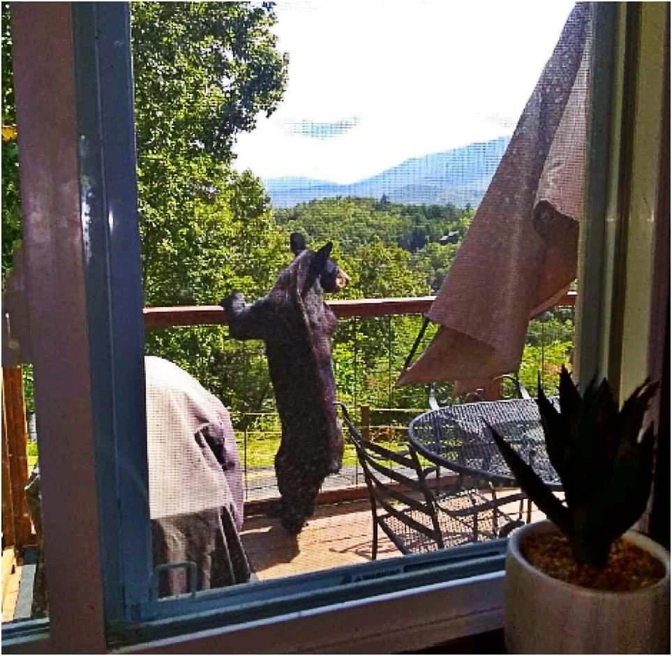 Happy Trails, a spacious 3BR/3BA mountain cabin in Gatlinburg’s coveted Cobbly Nob Resort. Perched on Webb Mountain, this beautifully decorated retreat offers over 2,100 sq. ft. of comfort with panoramic views of three mountain ranges, two wood-burning fireplaces, and plenty of amenities for families and groups to relax and reconnect.