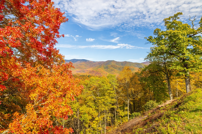 fall in the smoky mountains