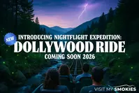 nightflight expedition dollywood ride