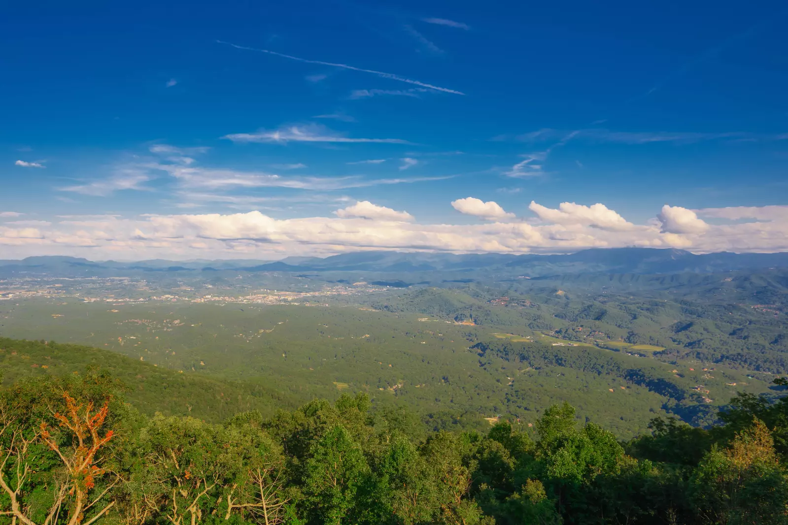 Wynn's Endless Views