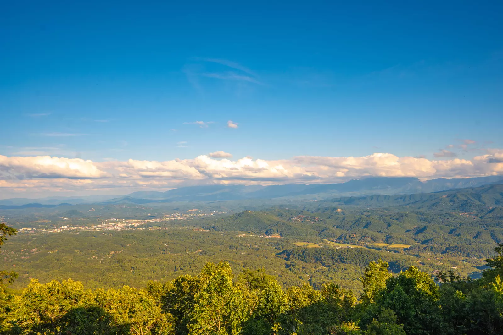 Wynn's Endless Views
