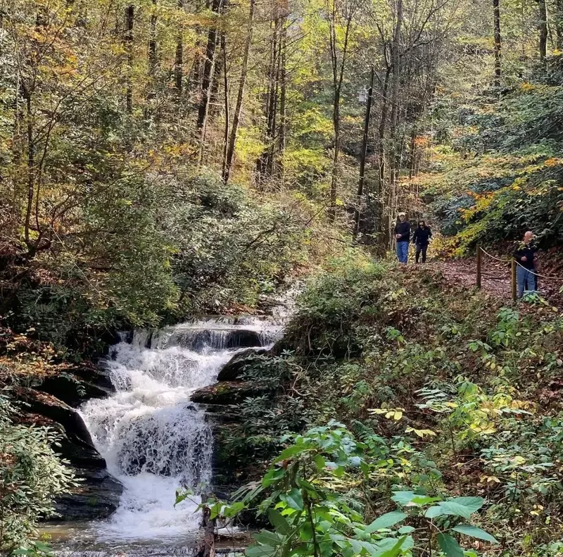 Honey J's Mountain Retreat