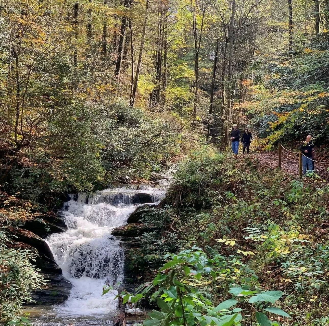 Honey J's Mountain Retreat