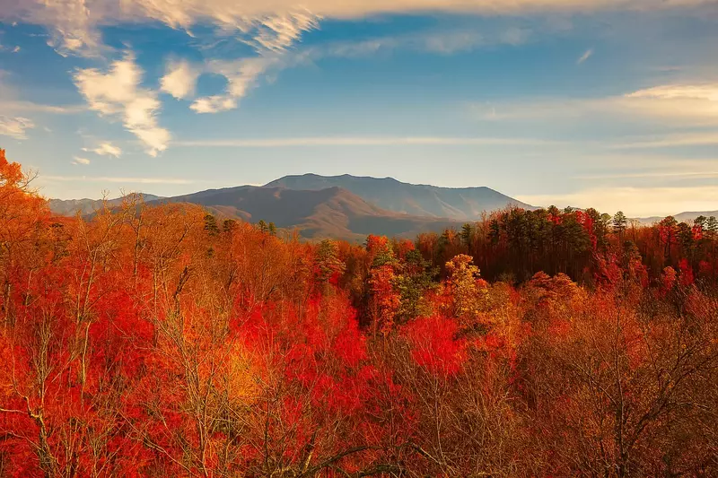 Property image, Interior, of Diamond In The Rough