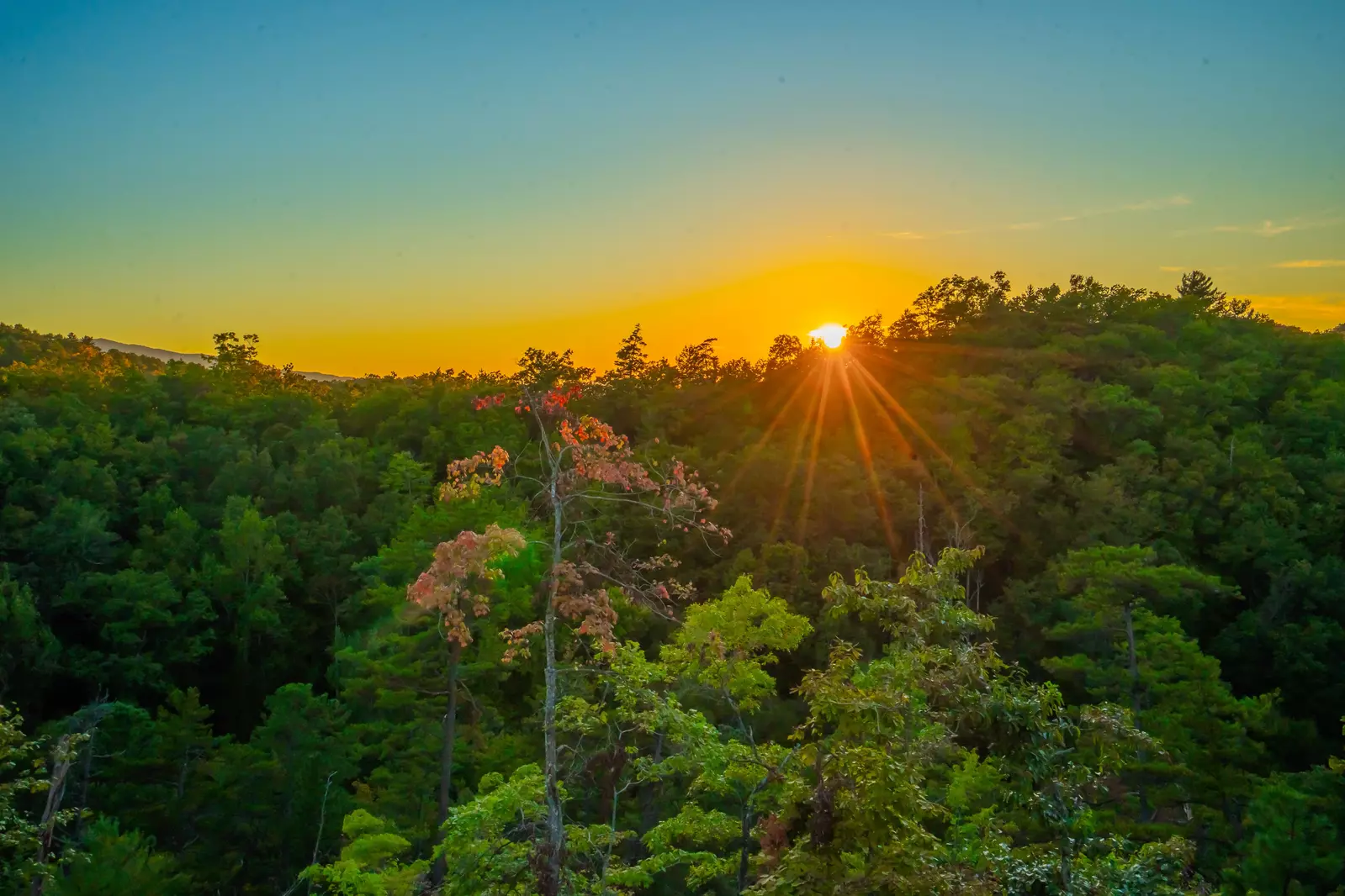 Sunset Ridge