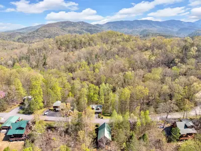 Bear Haven