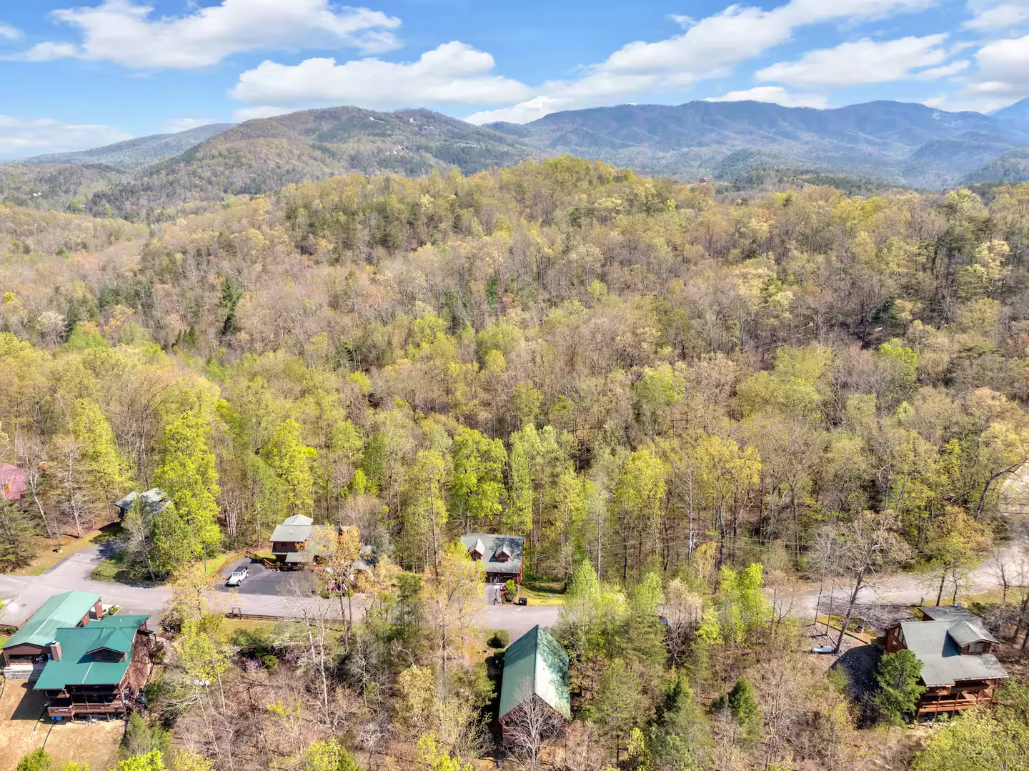 Bear Haven