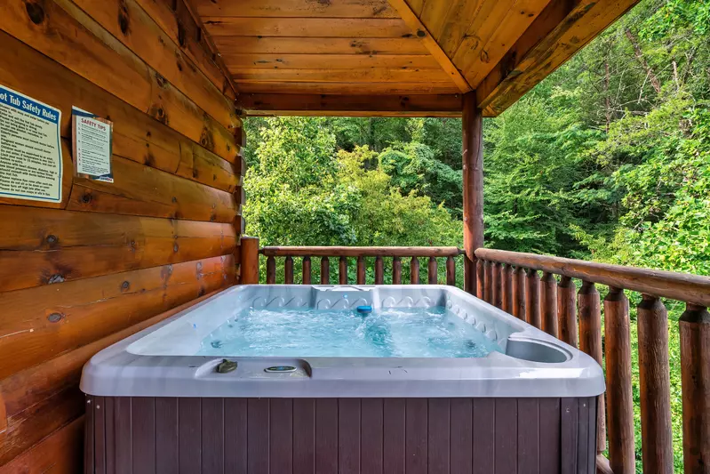 A Bear Creek Plunge
