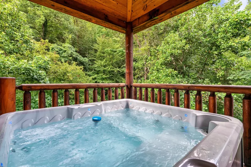 A Bear Creek Plunge