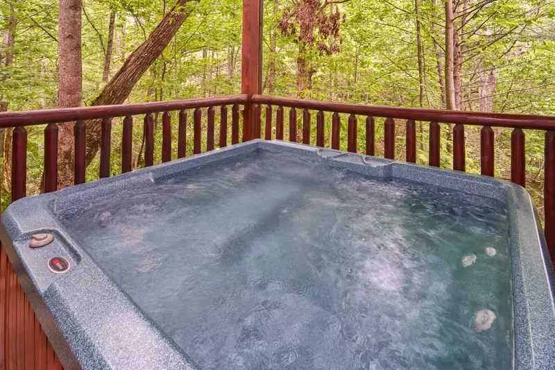 Property image, Interior, of Fire in the Sky