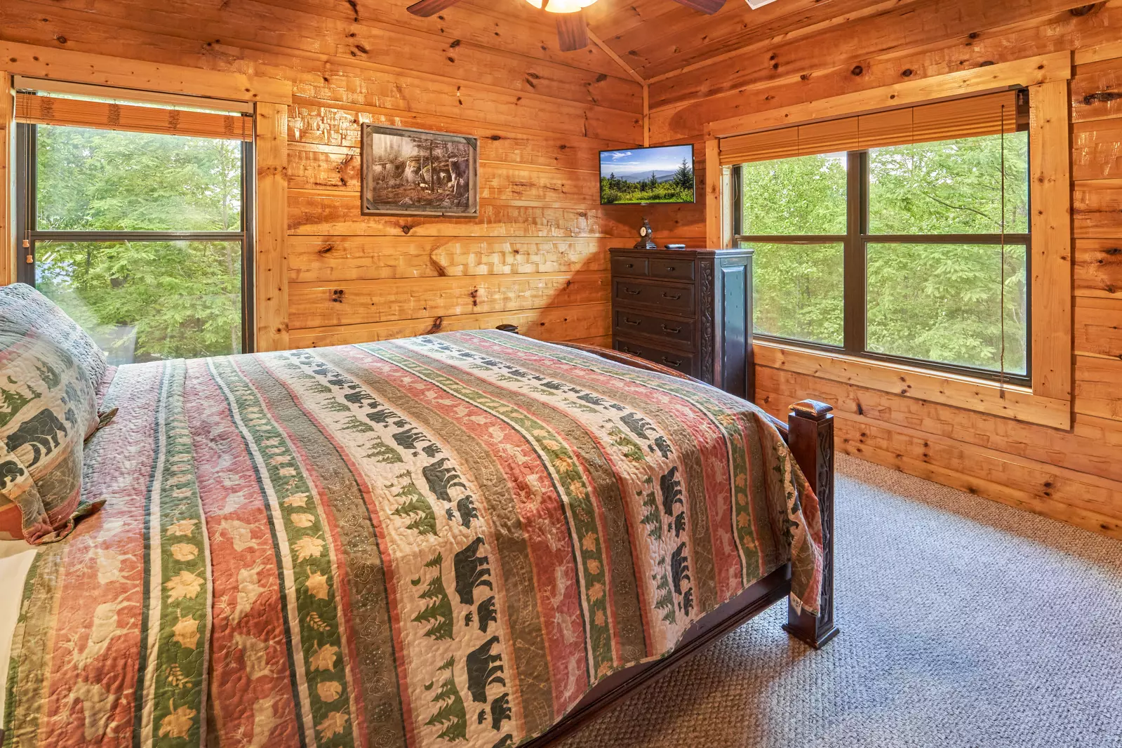 Property image, Interior, of Fire in the Sky