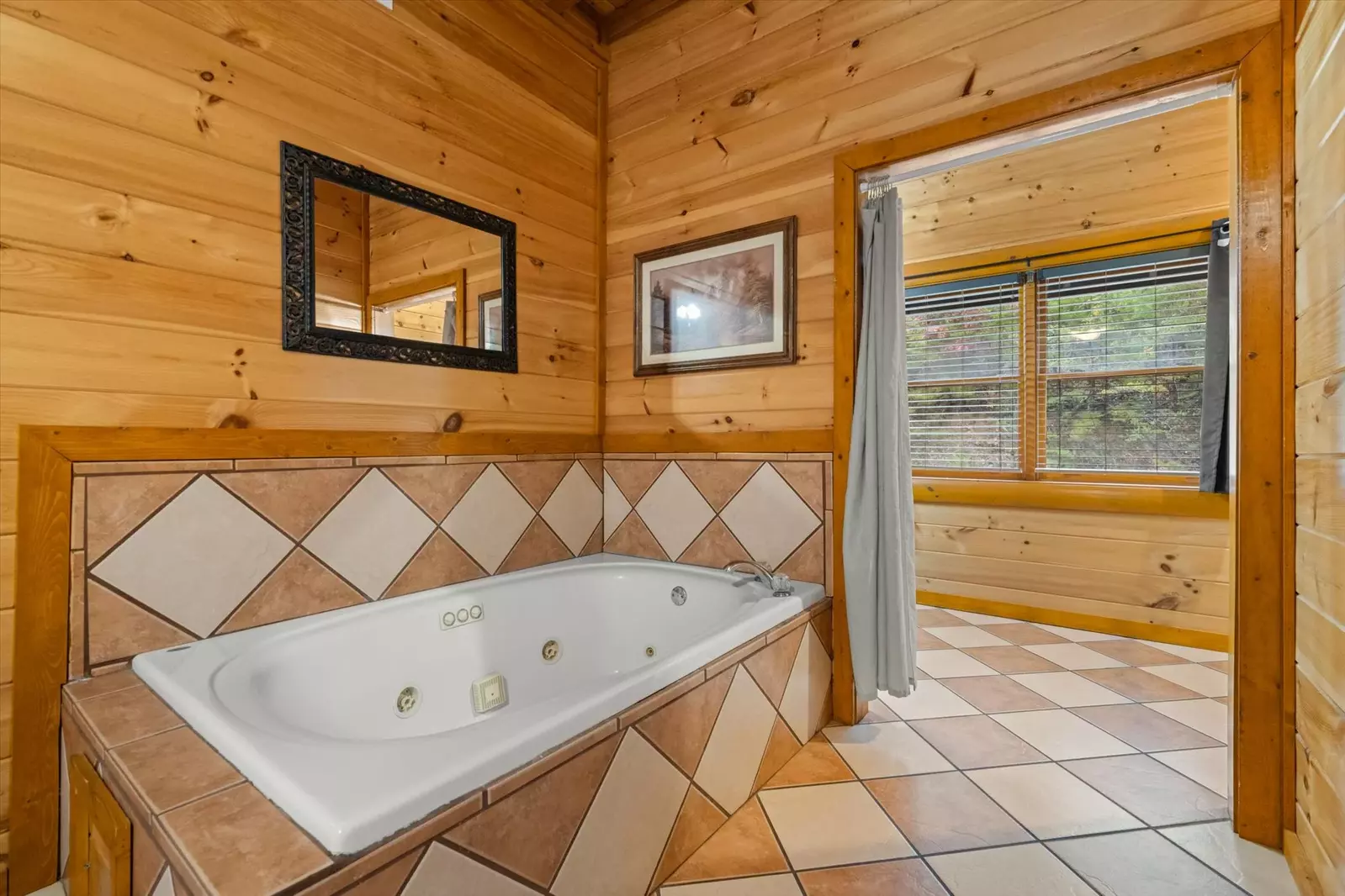 Smoky Mountain Cinema