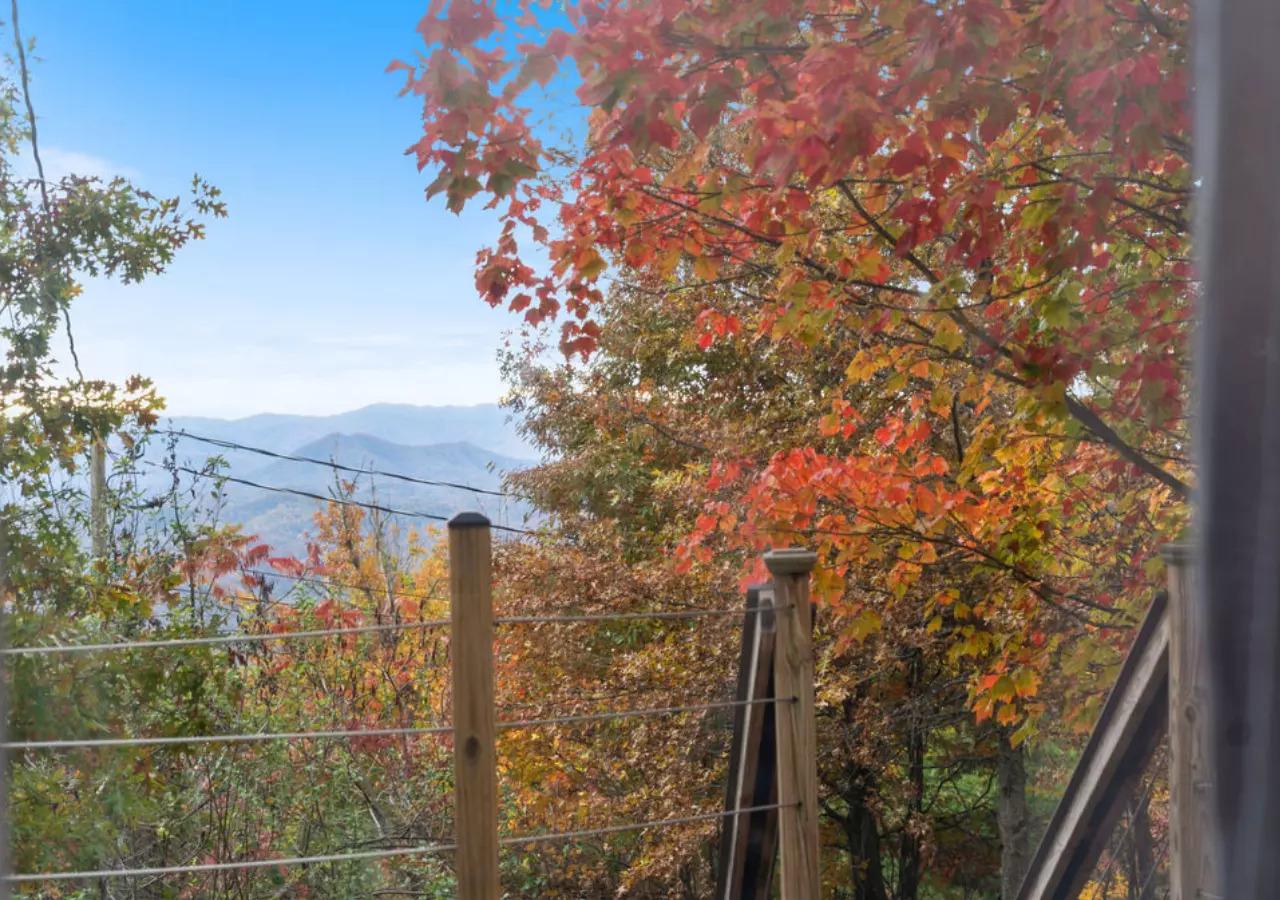 Bluff Mountain Escape