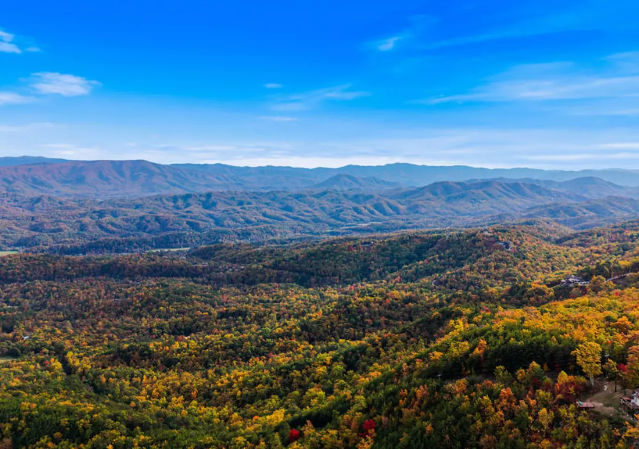 Bluff Mountain Escape