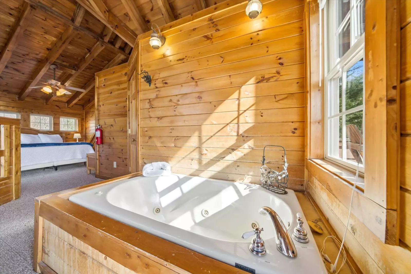 Dream A Little Dream