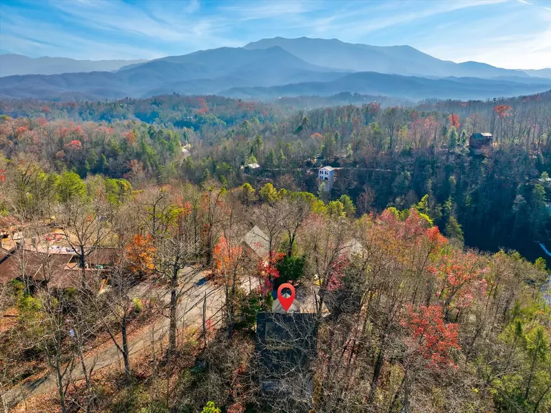 Dream A Little Dream