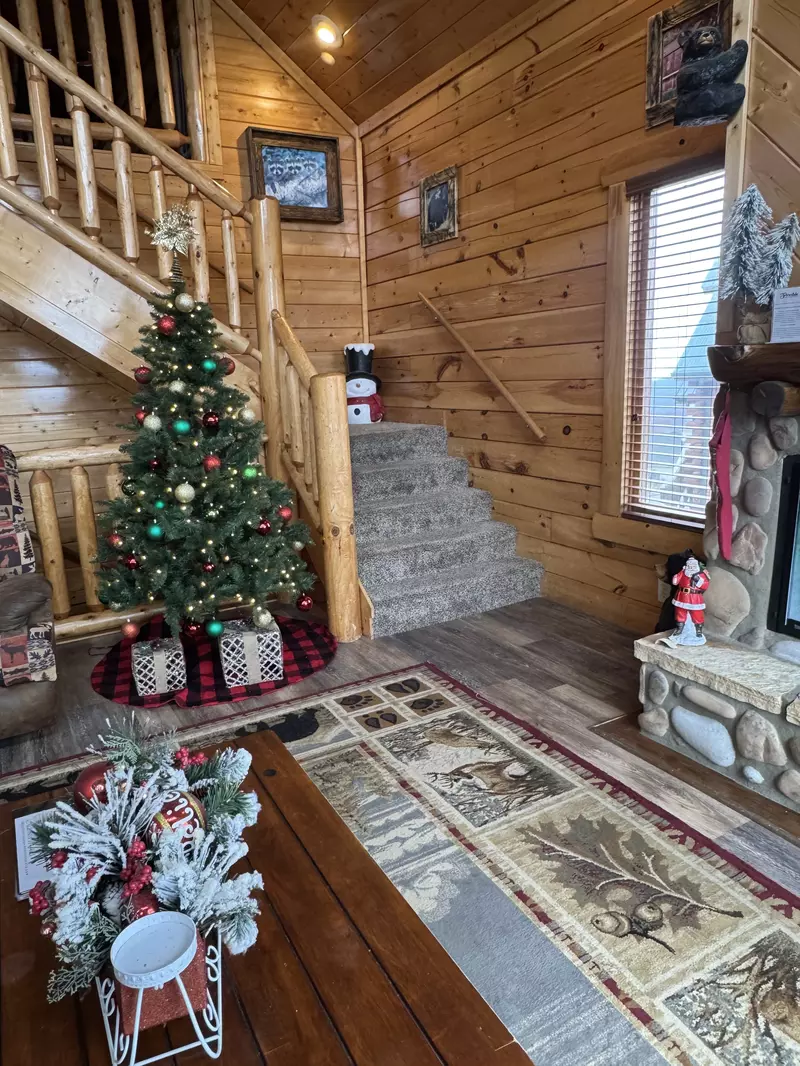 Bear's View Winterfest decorations