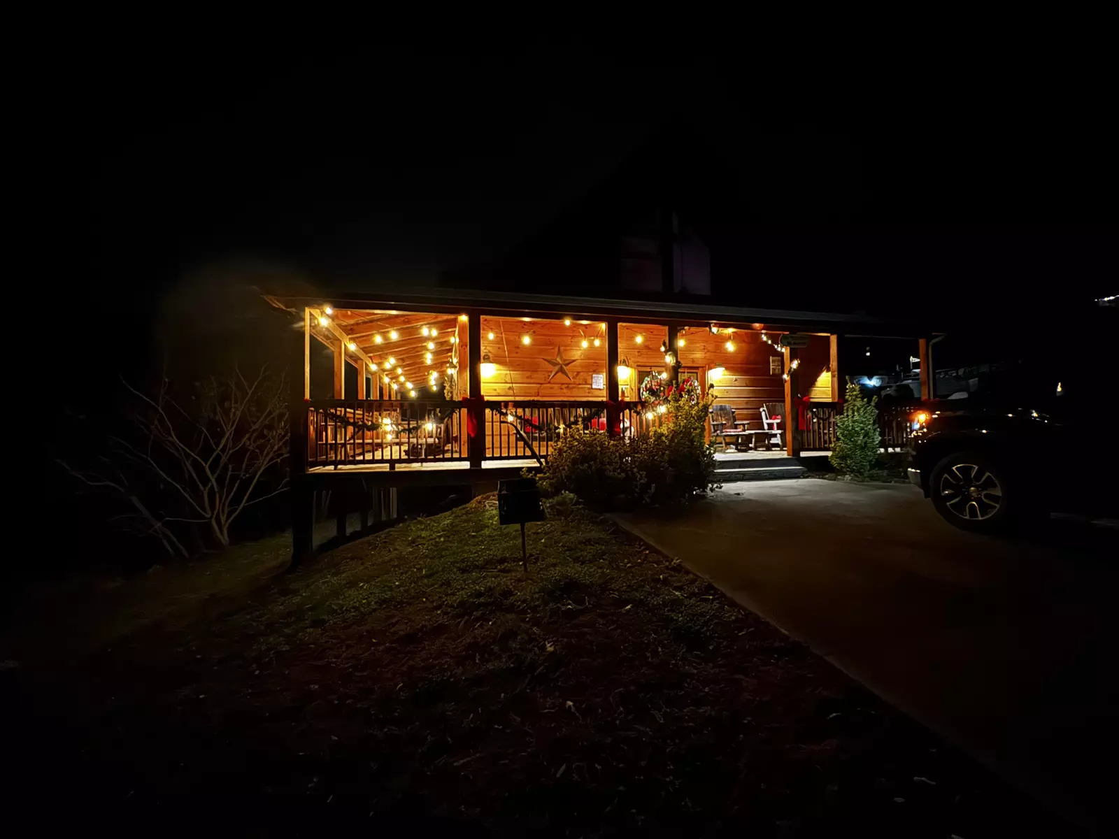 The Bear Cubs holiday decorations