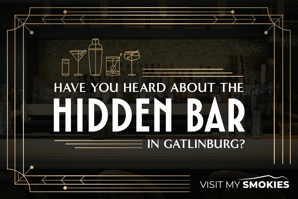 alibi is a hidden bar in gatlinburg