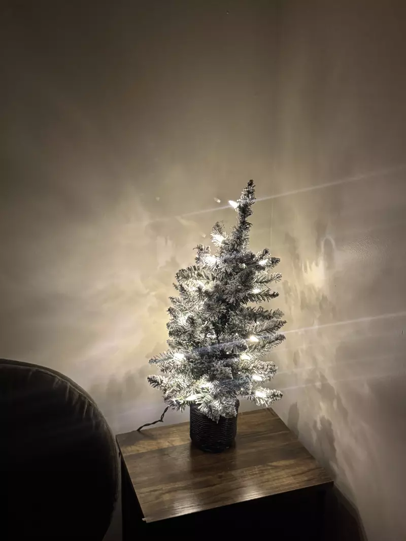 Magic Views Winterfest decorations