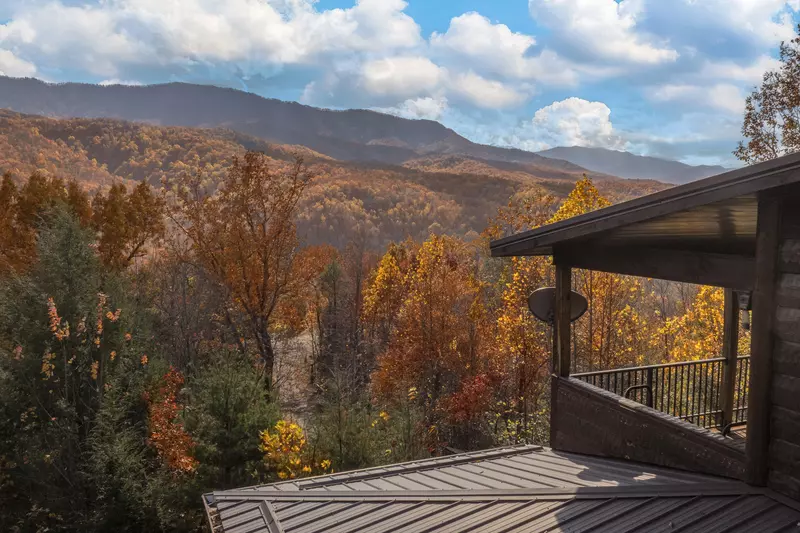 Property image, Interior, of Livin It Up