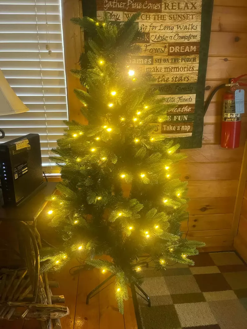 Possum Moon Winterfest decorations