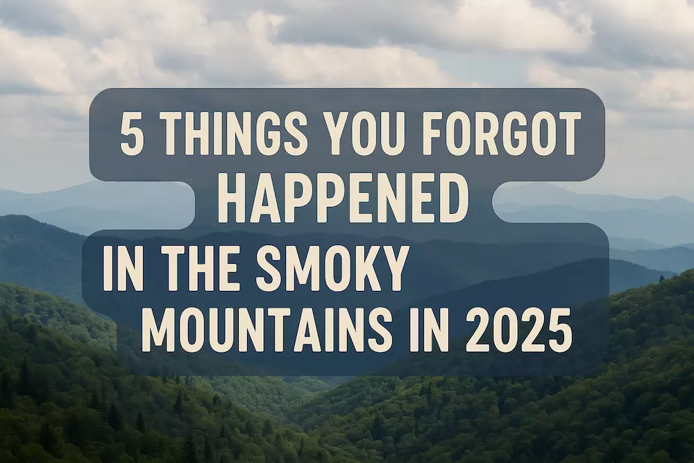 5 Things You Forgot Happened in the Smoky Mountains in 2025