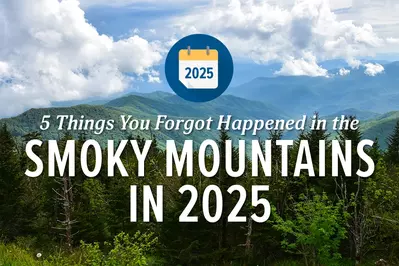 5 Things You Forgot Happened in the Smoky Mountains in 2025