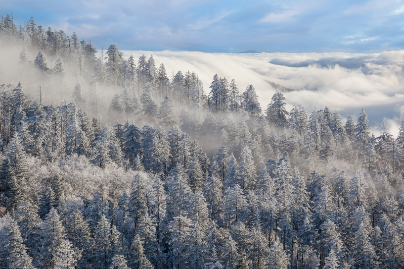 Great Smoky Mountains National Park in winter