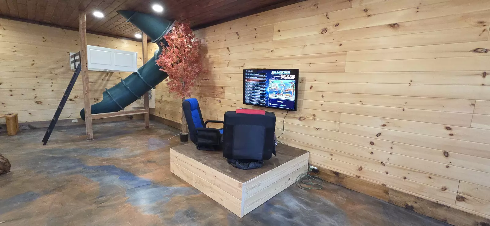 Birds Perch Bluebird