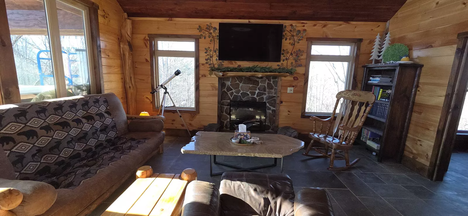 Birds Perch Bluebird