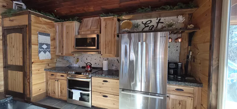 Birds Perch Bluebird