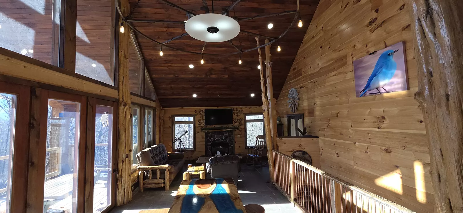 Birds Perch Bluebird