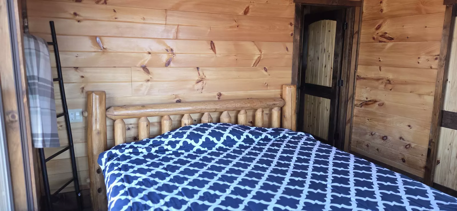 Birds Perch Bluebird