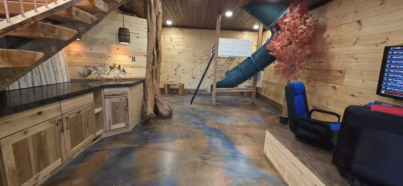 Birds Perch Bluebird