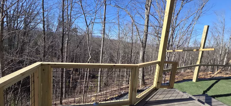 Birds Perch Bluebird