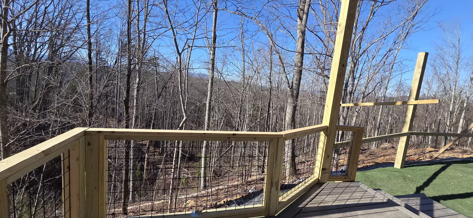 Birds Perch Bluebird