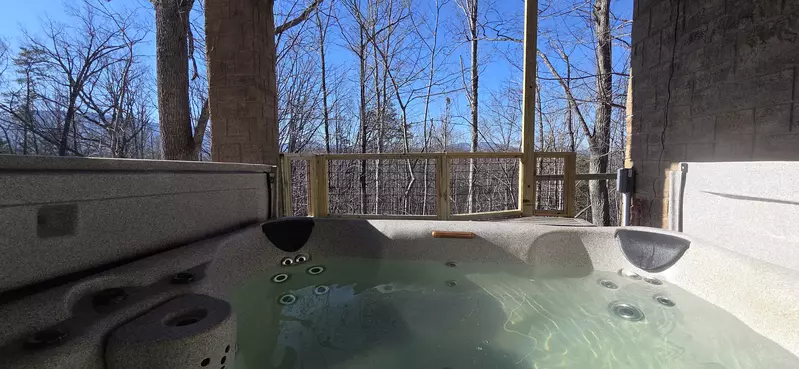 Birds Perch Bluebird