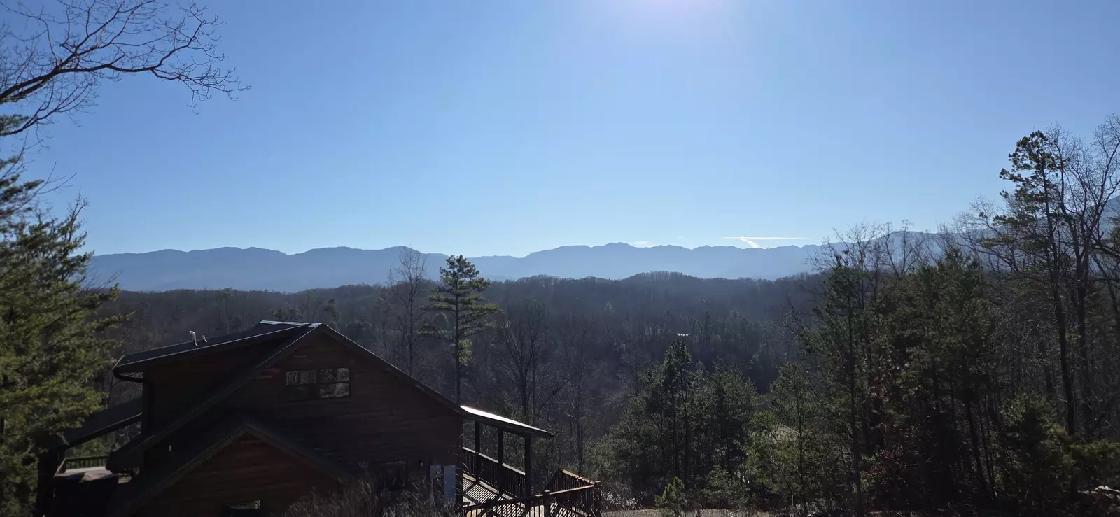 Birds Perch Bluebird