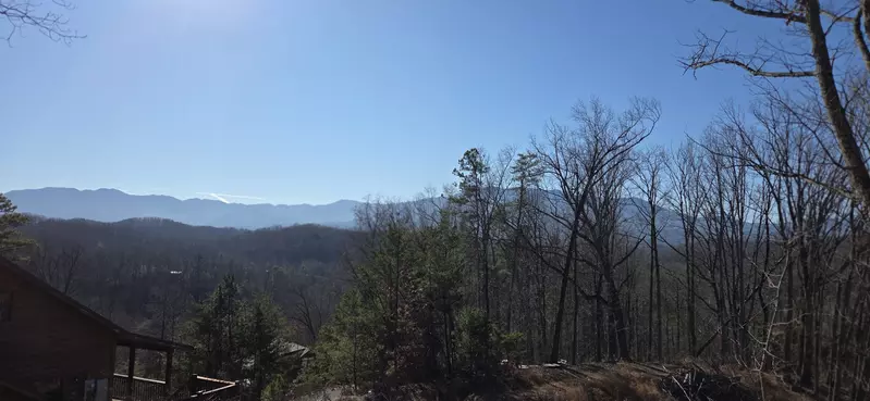 Birds Perch Bluebird