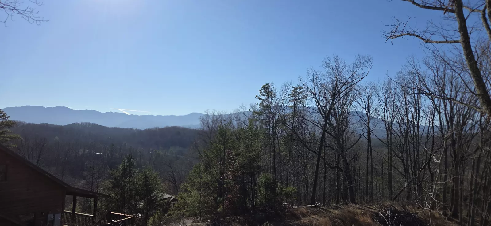 Birds Perch Bluebird