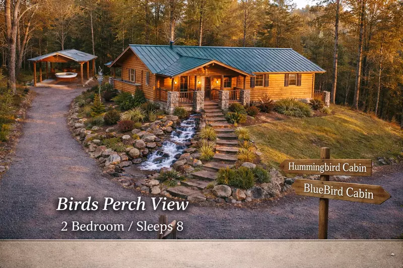 Birds Perch Bluebird