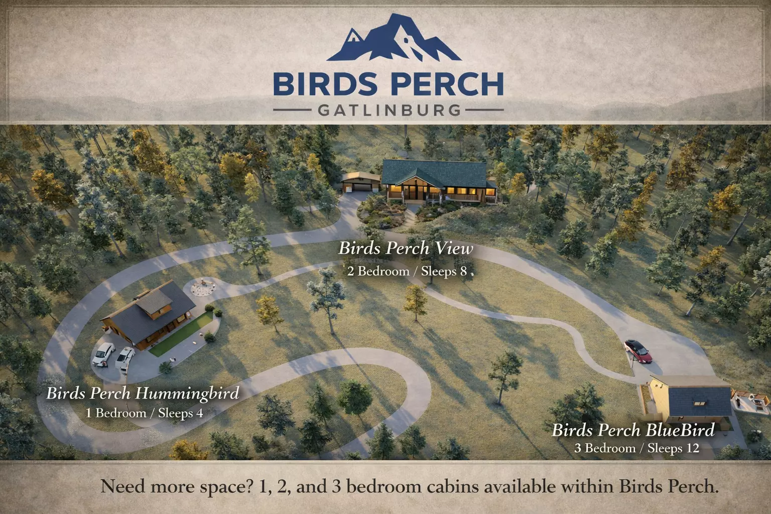 Birds Perch Hummingbird